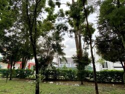 Blk 485 Jurongville @ Avenue 1 (Jurong West), HDB 3 Rooms #591967881